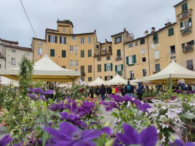 Lucca in Corte near the city centre – Photos 6